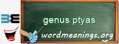 WordMeaning blackboard for genus ptyas